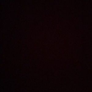 Meet your Posher, Bonnie